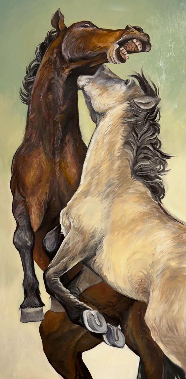 Untitled Untitled